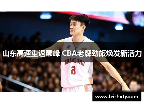 山东高速重返巅峰 CBA老牌劲旅焕发新活力